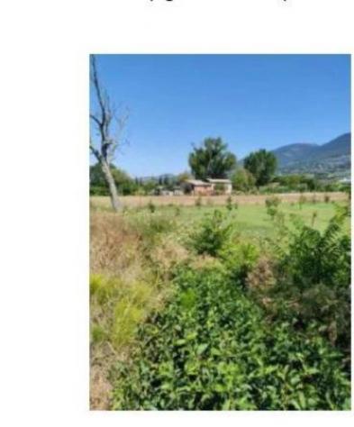 Immobile in asta di 1050 m² in vendita a Spello - Foto 3