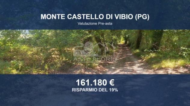 Immobile in asta di 221655 m² in vendita a Monte Castello di Vibio