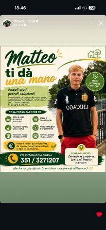 Lavori giardino e pulizie