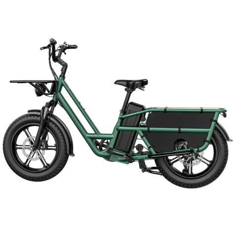Fiido T2 Cargo E-Bike 250W 48V