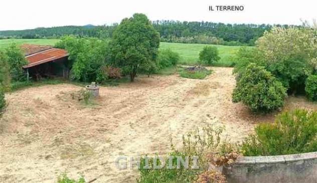 AZIENDA AGRICOLA di 10 vani e di 350 mq (CIVITELLA PAGANICO - PAGANICO) rif. 2571.300M. - Foto 7
