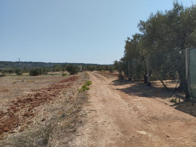 Terreno agricolo in vendita a Casarano 12.000 mq - Foto 9