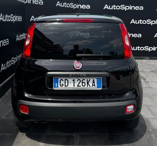 FIAT Panda 1.2 69cv S&S E6d-Temp Easy #5°posto #vetriprivacy - Foto 4