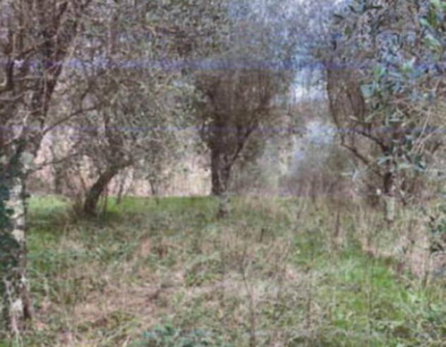 Immobile in asta di 12950 m² in vendita a Fucecchio - Foto 5