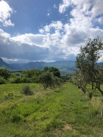 Ampia Tenuta Agricola in Abruzzo - Foto 3
