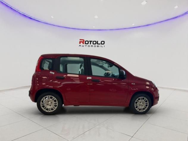 FIAT Pandina Pandina 1.0 FireFly 65 CV Hybrid Icon - Foto 4