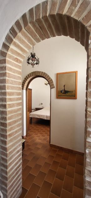 Terratetto indipendente Cecina - Foto 4