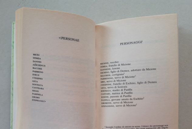 TERENZIO - I fratelli - Foto 7