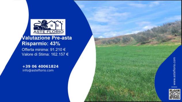 Immobile in asta di 51760 m² in vendita a Altomonte