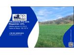 Immobile in asta di 51760 m² in vendita a Altomonte