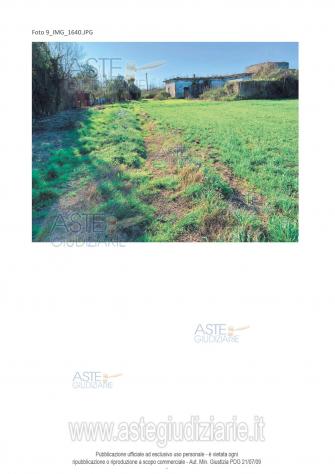 IMMOBILI-ALTRA CATEGORIA-località San Giuseppiello - Foto 3