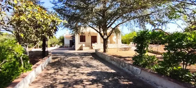 Martina Franca Villa