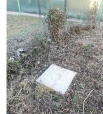 Immobile in asta di 3600 m² in vendita a Scorzè - Foto 4
