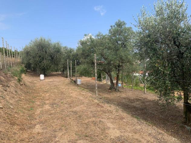 Terreno edificabile in vendita a Vado Ligure - Foto 5