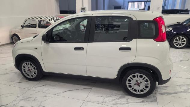 Fiat Panda 1.0 FireFly S&S Hybrid - Foto 10
