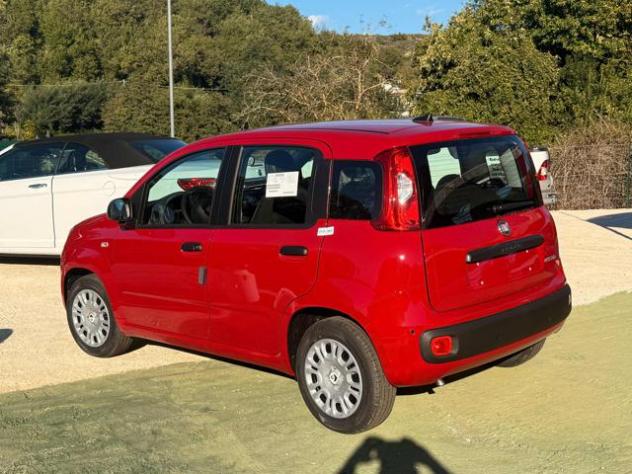FIAT Panda 1.0 FireFly S&S Hybrid Icon rif. 24100303 - Foto 4