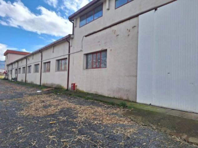 Immobile in asta di 18830 m² in vendita a Bisignano - Foto 9