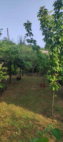 Villa a schiera in vendita a Castelnuovo Parano - Foto 19