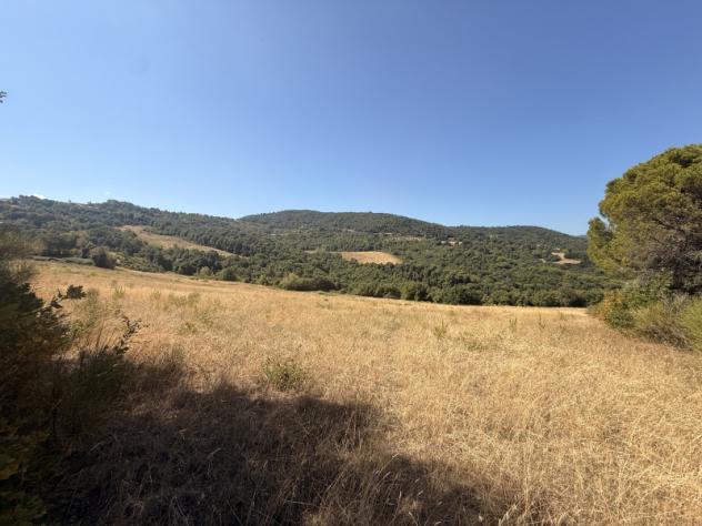 Agricolo in Vocabolo Cibottola