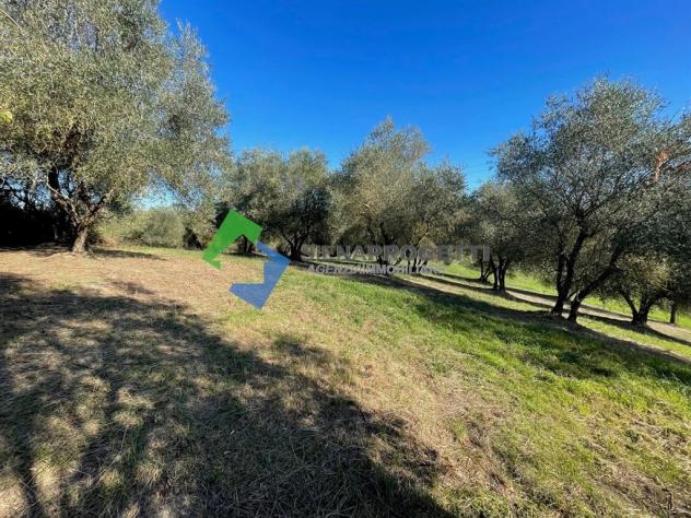 Casale in pietra da ristrutturare alle porte di Siena - Foto 7