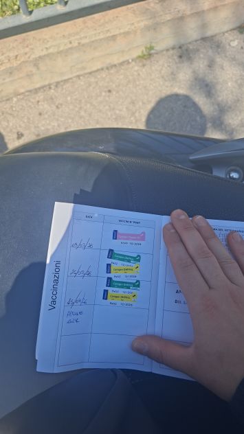 Ciao a tutti lui e piccolo e cerca casa - Foto 2