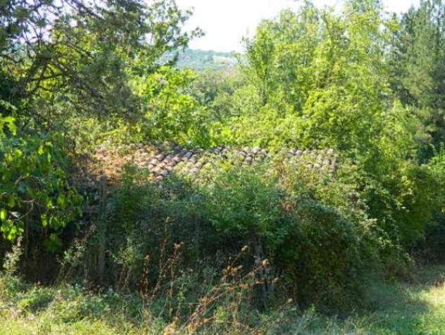 Immobile in asta di 15 m² con più di 5 locali in vendita a Piegaro - Foto 4
