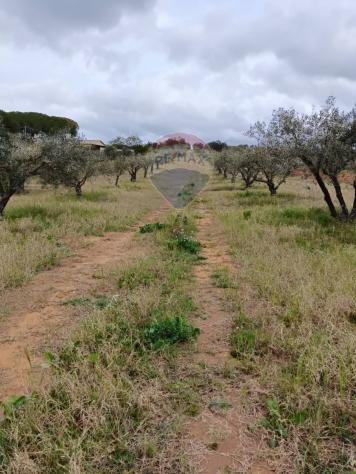 Terreno in vendita a Caltagirone, Santo Pietro - Foto 16