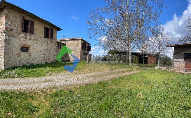 Antica colonica con azienda agricola a Castellina in Chianti, Siena. - Foto 19
