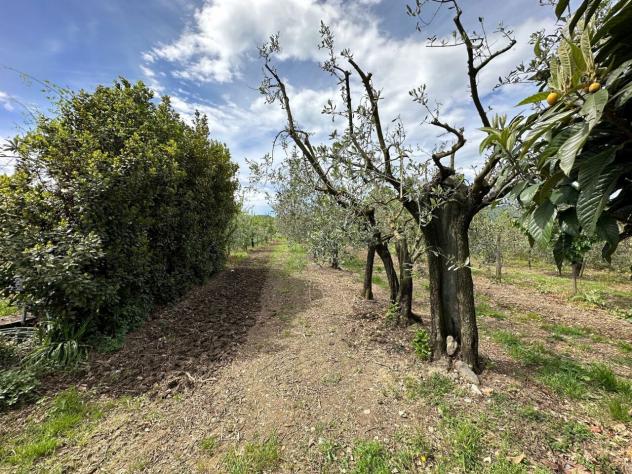 Terreno agricolo in vendita a Castelnuovo Magra 1850 mq Rif: 1127698 - Foto 2