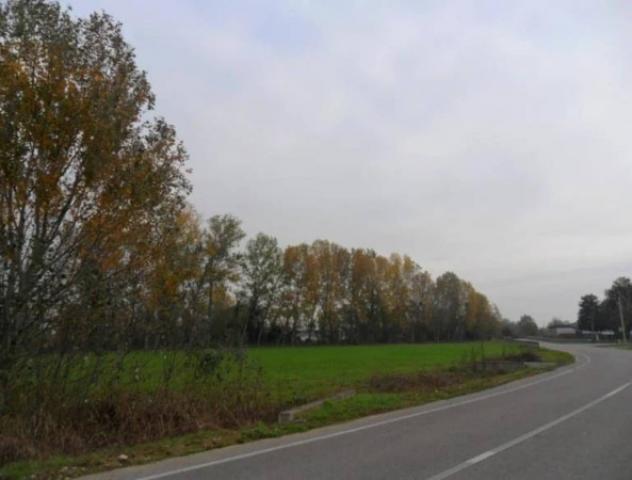 Immobile in asta di 34013 m² in vendita a Monte Cremasco - Foto 5