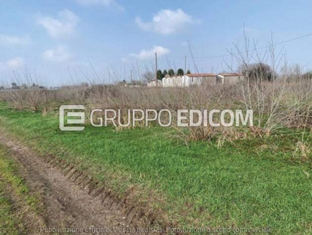 Terreno di 4646 mq in vendita a Sorgà - Rif. 4550929 - Foto 4