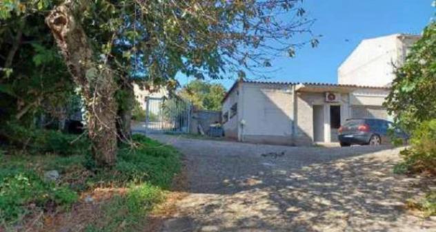 Immobile in asta di 1951 m² in vendita a Luras - Foto 3