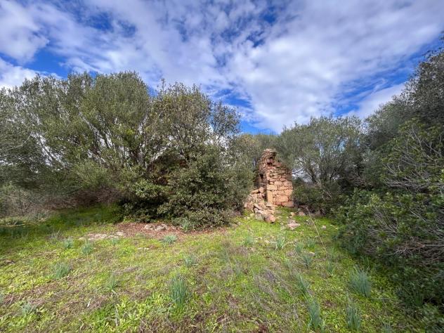 Colonica in vendita a Surrau - Arzachena 130 mq Rif: 1353088 - Foto 4