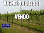 VIGNETI DI PROSECCO IN VENDITA