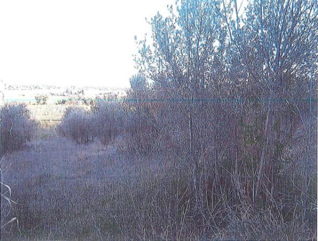 Immobile in asta di 33490 m² in vendita a Perugia - Foto 5