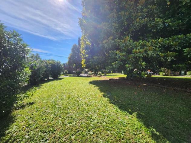 Appartamento in vendita a Massa Macinaia - Capannori 465 mq Rif: 1351530 - Foto 4