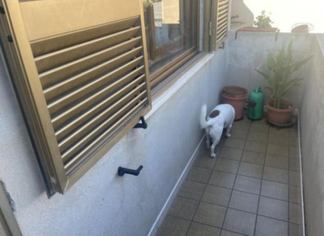 Immobile in asta di 205 m² in vendita a Sinnai - Foto 12