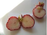 Fragola Marie Charlotte