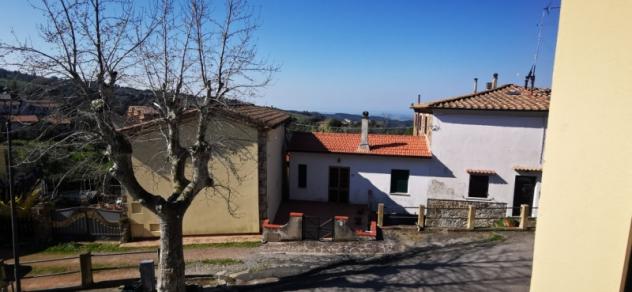 Appartamento 65 mq in Vendita a Castellina Marittima - Foto 7