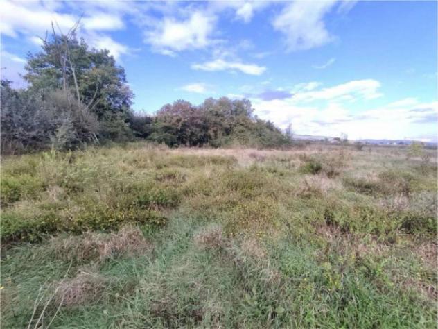 Immobile in asta di 424 m² in vendita a Sinalunga - Foto 6