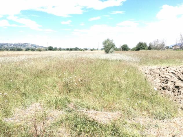 Terreno in vendita in strada montefalco, 25, Montefalco - Foto 3