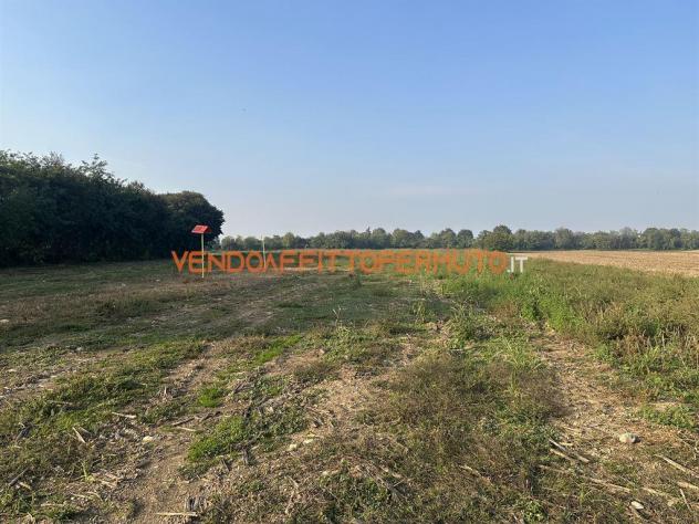 TERRENO AGRICOLO 4.400MQ - Foto 6