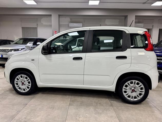 Fiat Panda 1.2 69cv EasyPower Easy 11/2020 - Foto 4
