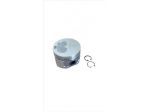 PISTONE MOTORE YANMAR 0.50 2TNE68 D.68.50