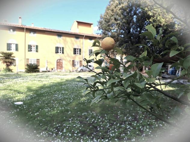 Terratetto in vendita a San Frediano a Settimo - Cascina 390 mq Rif: 1403953