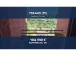 Immobile in asta di 201 m² con più di 5 locali e box auto in vendita a Teramo