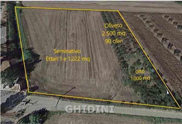 TERRENO AGRICOLO di 1 vani e di 14722 mq (GROSSETO - GORARELLA) rif. 2200.332M