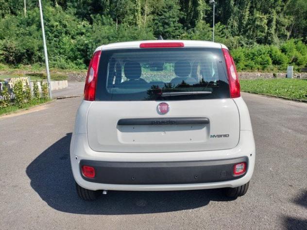 FIAT Pandina 1.0 FireFly 65cv S&S Hybrid Icon con comandi al volante!! - Foto 7