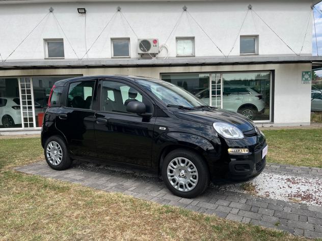 FIAT Panda 1.0 FireFly 70cv S&S Hybrid 5 posti - Foto 6