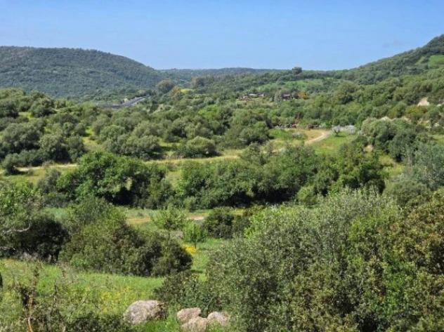 Immobile in asta di 78608 m² in vendita a Sedilo - Foto 16